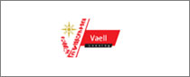 车辆和设备租赁有限公司（VAELL）