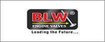 BLW发动机阀Pvt Ltd