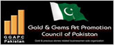 ggapcpakistan.com.