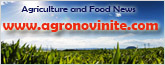 agronovinite.com