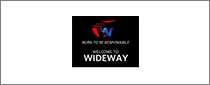 Shandong Wideway Tire Co.，Ltd