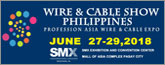 wire-philippines.com.