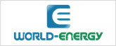 World-Energy.org.