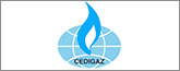 cedigaz.org