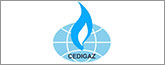 cedigaz.org/