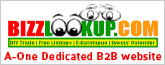 bizzlookup.com